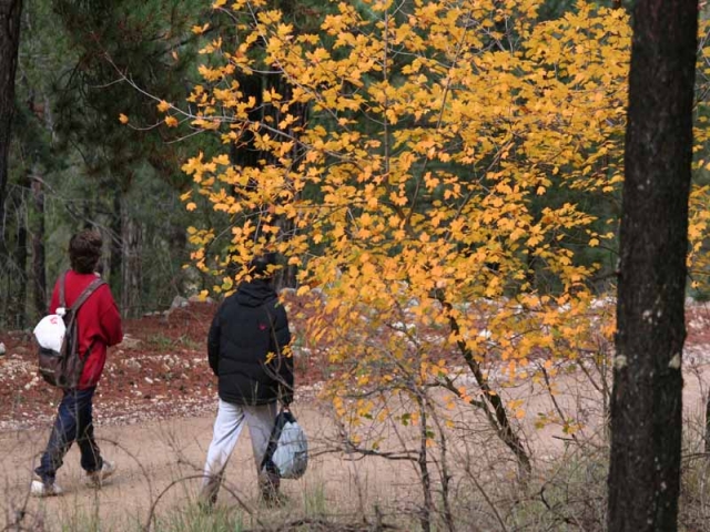  randonnées en automne 